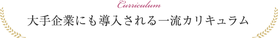 大手企業にも導入される一流カリキュラム