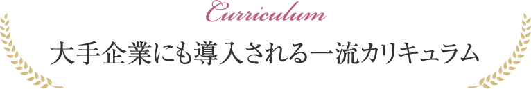大手企業にも導入される一流カリキュラム
