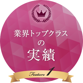 業界トップクラスの実績