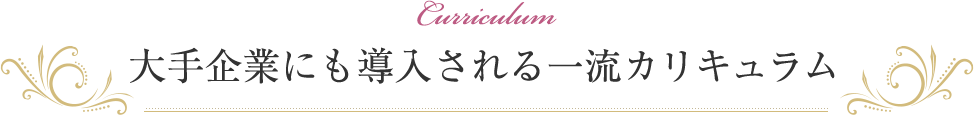 大手企業にも導入される一流カリキュラム