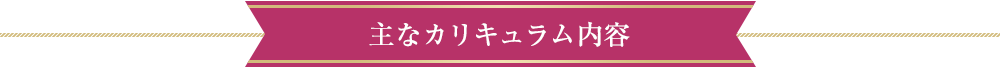 主なカリキュラム内容