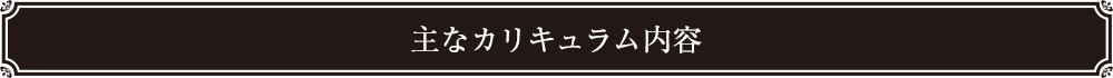 主なカリキュラム内容