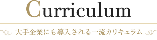 Curriculum